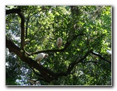 Lowry-Park-Zoo-Tampa-FL-160