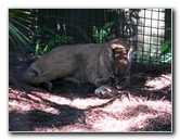 Lowry-Park-Zoo-Tampa-FL-162