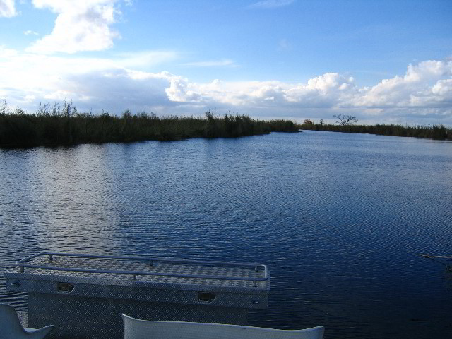 Florida-Everglades-Airboat-Tour-02