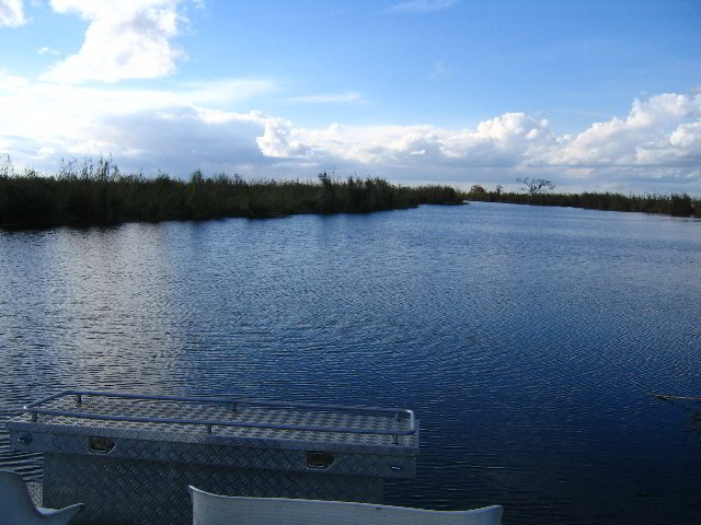 Florida-Everglades-Airboat-Tour-02