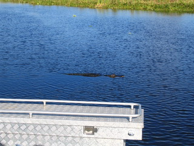 Florida-Everglades-Airboat-Tour-07