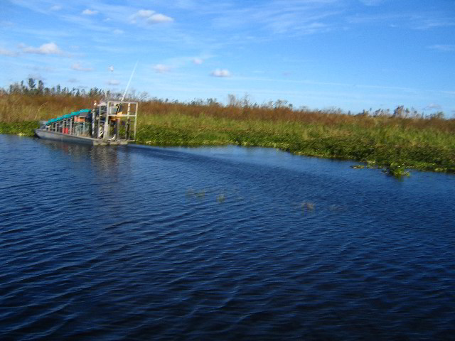 Florida-Everglades-Airboat-Tour-09