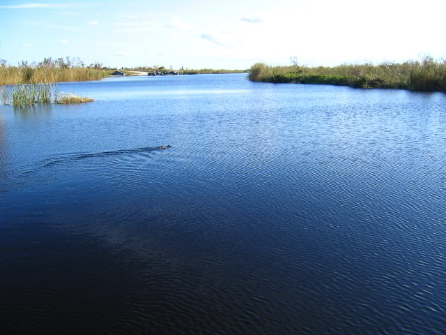 Florida-Everglades-Airboat-Tour-10