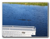 Florida-Everglades-Airboat-Tour-07