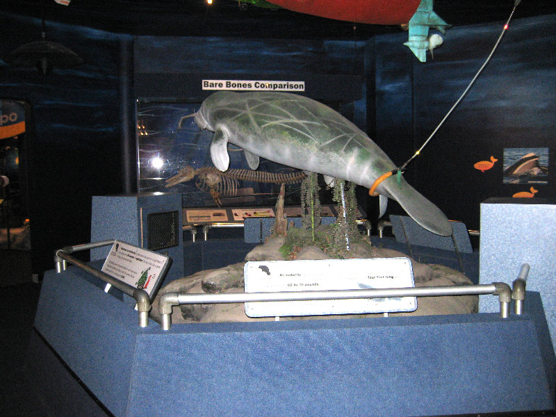 Museum-of-Science-and-History-Jacksonville-FL-002