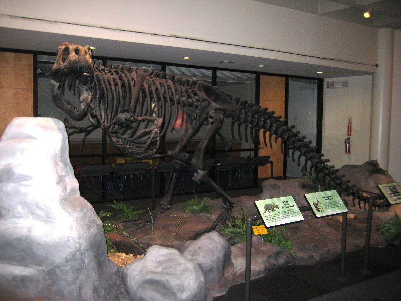 Museum-of-Science-and-History-Jacksonville-FL-012