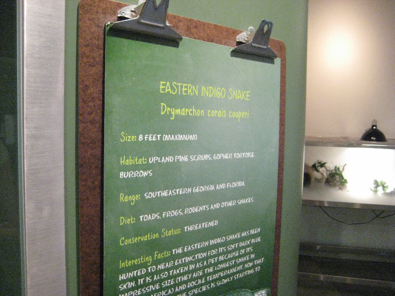 Museum-of-Science-and-History-Jacksonville-FL-020