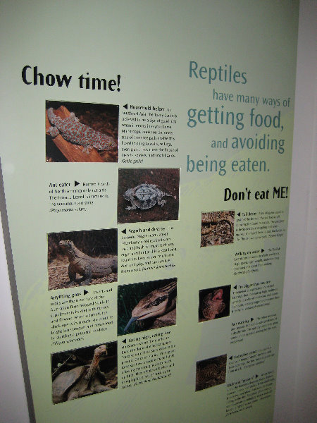 Museum-of-Science-and-History-Jacksonville-FL-028