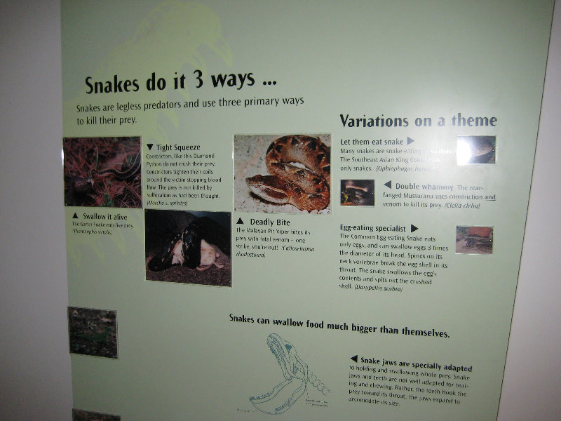 Museum-of-Science-and-History-Jacksonville-FL-029