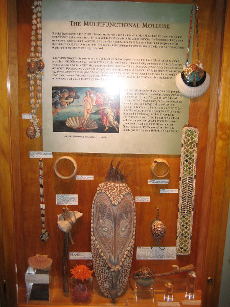 Museum-of-Science-and-History-Jacksonville-FL-038