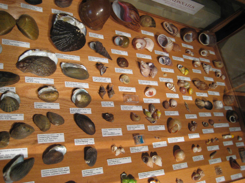 Museum-of-Science-and-History-Jacksonville-FL-040