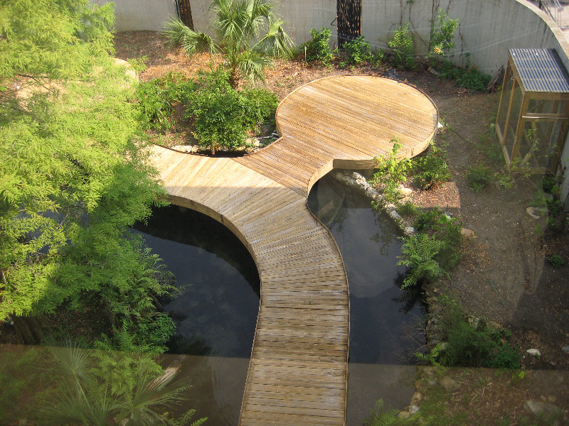 Museum-of-Science-and-History-Jacksonville-FL-041