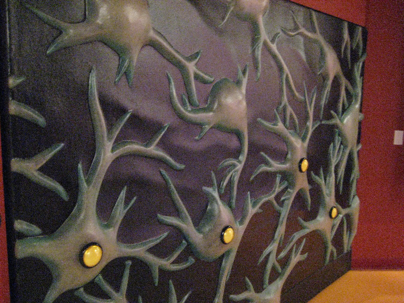 Museum-of-Science-and-History-Jacksonville-FL-074