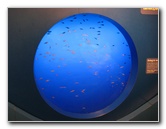 Museum-of-Science-and-History-Jacksonville-FL-007