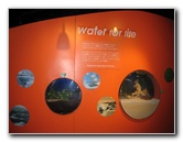 Museum-of-Science-and-History-Jacksonville-FL-010