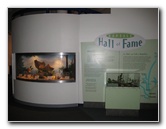 Museum-of-Science-and-History-Jacksonville-FL-011