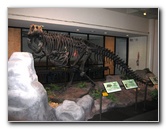 Museum-of-Science-and-History-Jacksonville-FL-012