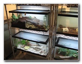 Museum-of-Science-and-History-Jacksonville-FL-013