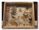 Museum-of-Science-and-History-Jacksonville-FL-014