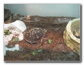 Museum-of-Science-and-History-Jacksonville-FL-015