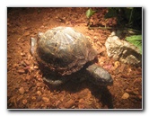 Museum-of-Science-and-History-Jacksonville-FL-018