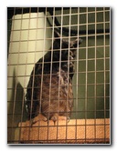 Museum-of-Science-and-History-Jacksonville-FL-025