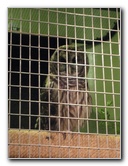 Museum-of-Science-and-History-Jacksonville-FL-026