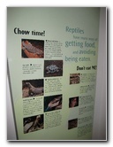 Museum-of-Science-and-History-Jacksonville-FL-028