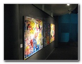 Museum-of-Science-and-History-Jacksonville-FL-031