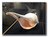 Museum-of-Science-and-History-Jacksonville-FL-035