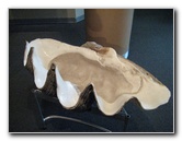 Museum-of-Science-and-History-Jacksonville-FL-036