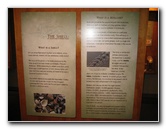 Museum-of-Science-and-History-Jacksonville-FL-037