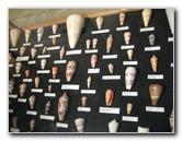 Museum-of-Science-and-History-Jacksonville-FL-039