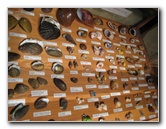 Museum-of-Science-and-History-Jacksonville-FL-040