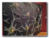 Museum-of-Science-and-History-Jacksonville-FL-074