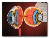 Museum of Science & History - Jacksonville, FL