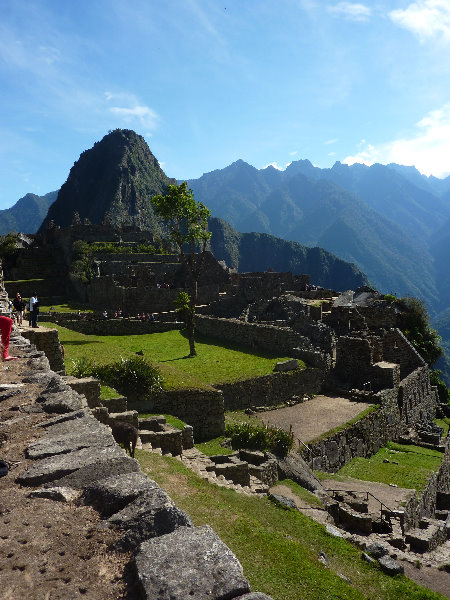 Machu-Picchu-Inca-Trail-Peru-South-America-065