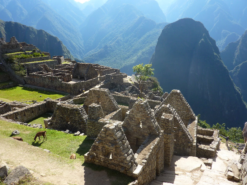 Machu-Picchu-Inca-Trail-Peru-South-America-075