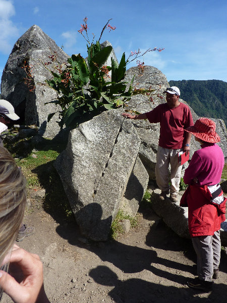 Machu-Picchu-Inca-Trail-Peru-South-America-080