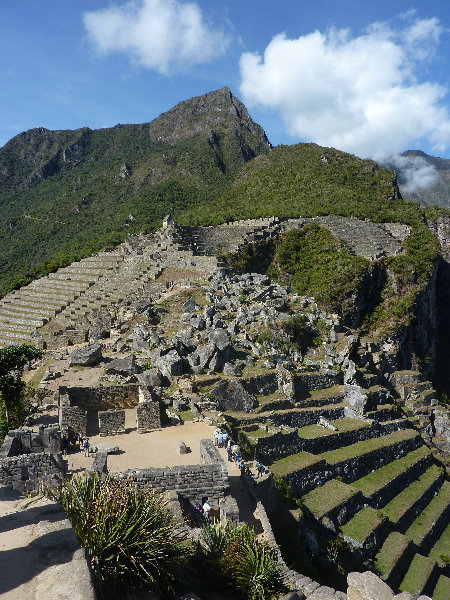 Machu-Picchu-Inca-Trail-Peru-South-America-104