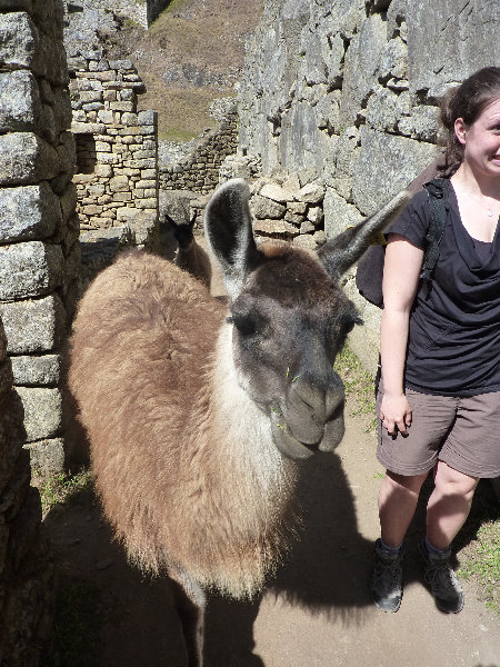 Machu-Picchu-Inca-Trail-Peru-South-America-137