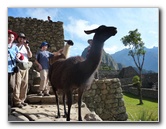 Machu-Picchu-Inca-Trail-Peru-South-America-038