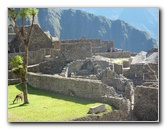 Machu-Picchu-Inca-Trail-Peru-South-America-062