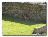 Machu-Picchu-Inca-Trail-Peru-South-America-067