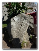 Machu-Picchu-Inca-Trail-Peru-South-America-081