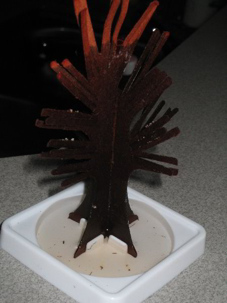 Magic-Tree-Crystal-Experiment-03