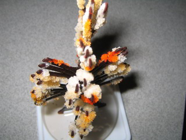 Magic-Tree-Crystal-Experiment-05