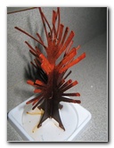 Magic-Tree-Crystal-Experiment-01