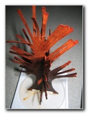 Magic-Tree-Crystal-Experiment-02