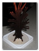 Magic-Tree-Crystal-Experiment-03